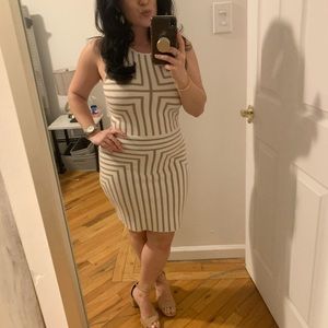 Bodycon Arden B. Dress